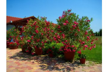 Węgry Privát Zalakaros, Zewnątrz